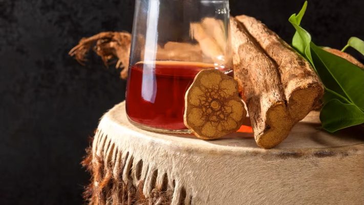 Ayahuasca — More Than a Ritual