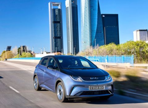 BYD Dolphin Atlantis-Grey BYD Dolphin Atlantis-Grey