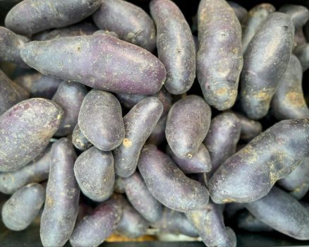 Black Potatoes Black Potatoes
