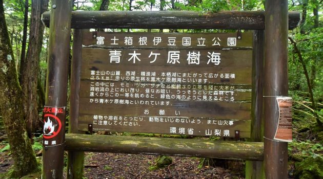 Board at Aokigahara Forest