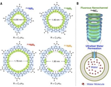 Carbon Nanotube Filters Carbon Nanotube Filters