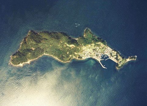 Cat Island in Japan Cat Island in Japan