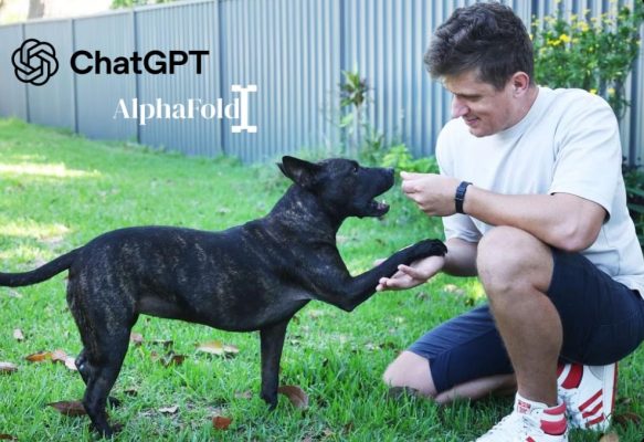 ChatGPT as the First Step