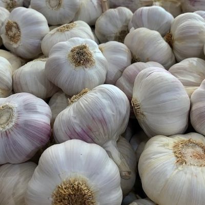 Chinese Garlic