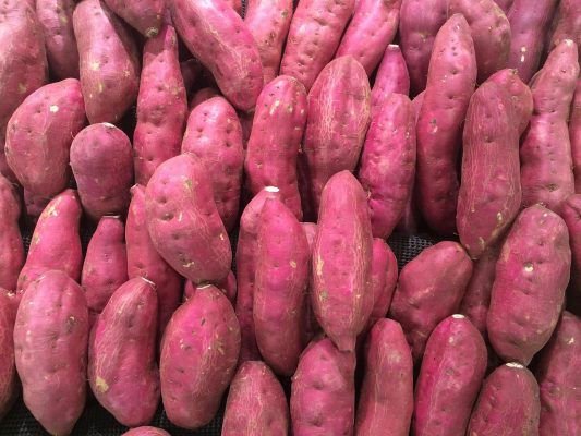 Chinese Sweet Potato