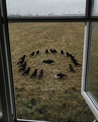 Crow Funeral