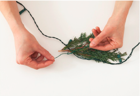 Cut individual offshoots from the evergreen branches and attach them