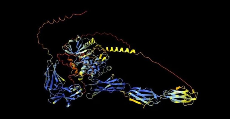 Decoding the Tumor's DNA