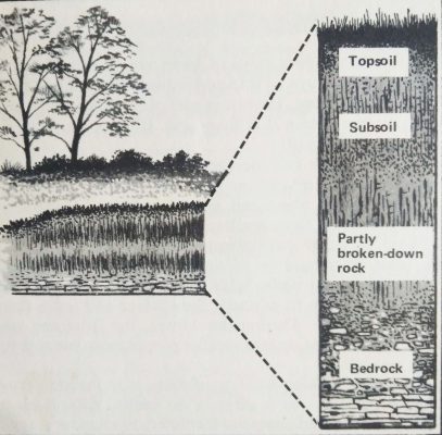 Different layers of soil