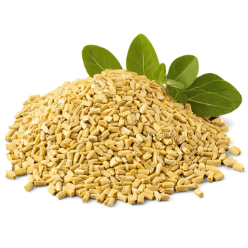 Fenugreek Seeds Fenugreek Seeds
