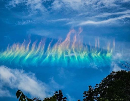 Fire Rainbow