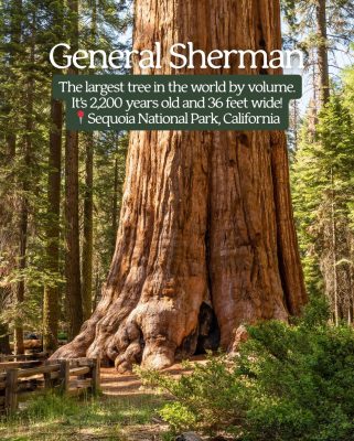 General Sherman