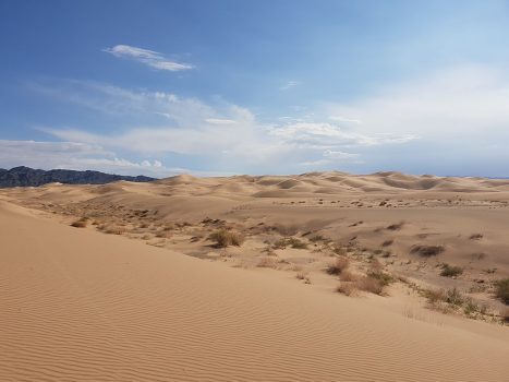 Gobi Desert