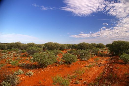 Great Victorian Desert