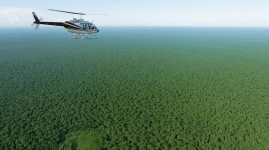 How Big Is the Amazon Rainforest