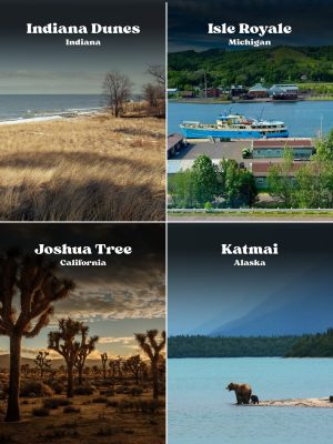 Indiana Dunes, Isle Royale, Joshua Tree, and Katmai