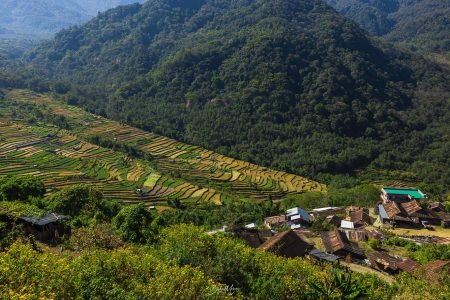 Khonoma - Villages in Nagaland