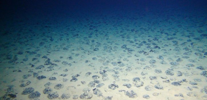 Manganese nodules on the seafloor in the Clarion-Clipperton zone.