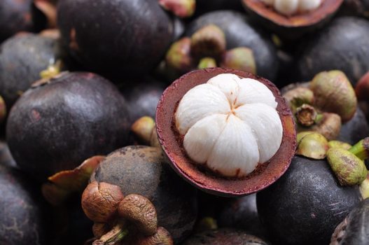 Mangosteen Mangosteen