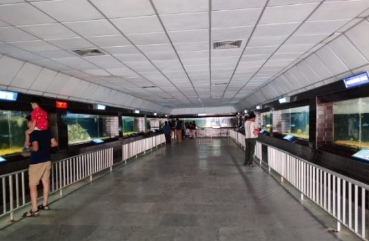 Marine Aquarium & Research Centre, Digha Marine Aquarium & Research Centre, Digha