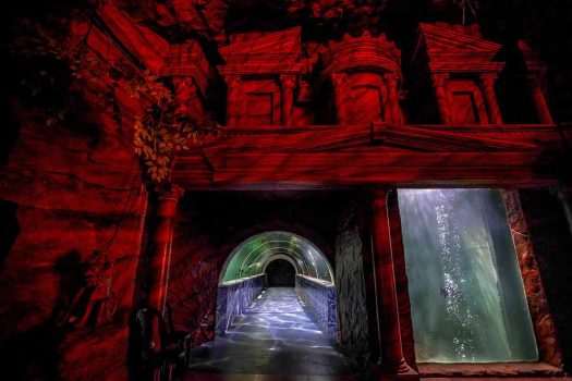 Marine World Aquarium – Kochi Marine World Aquarium – Kochi
