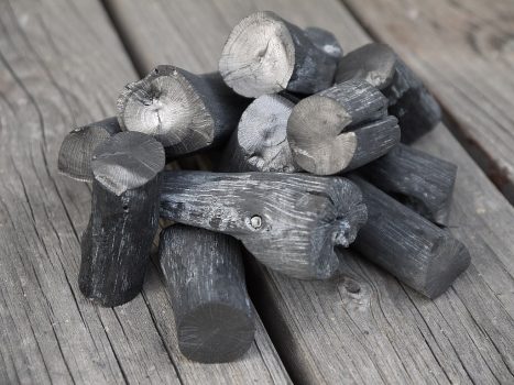 Binchotan Charcoal – Most Expensive Charcoal Binchotan Charcoal - Most Expensive Charcoal