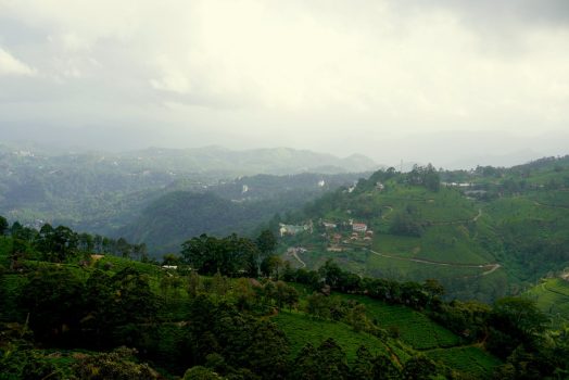 Munnar, Kerala Munnar, Kerala