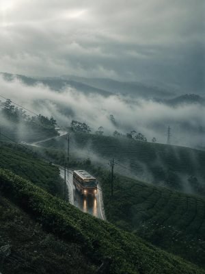 Munnar, Kerala