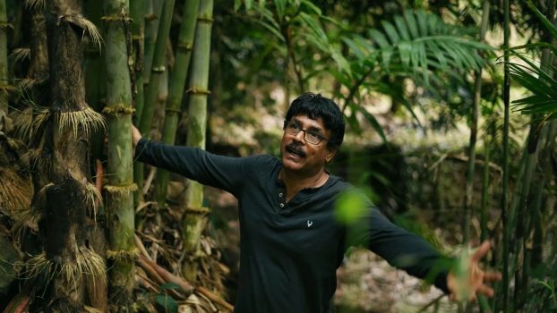 Musthafa Greenara Musthafa Greenara