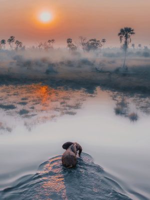 Okavango River & Delta