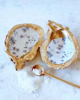 Oyster Shell Salt Cellars