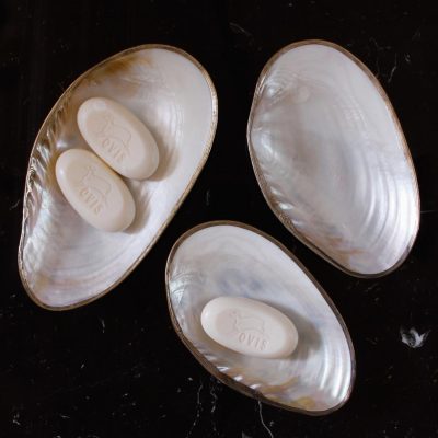 Oyster Shell Soap Holder