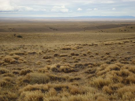 Patagonia Desert