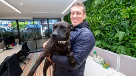 Paul Conyngham uses AI to create cancer vaccine for his dog