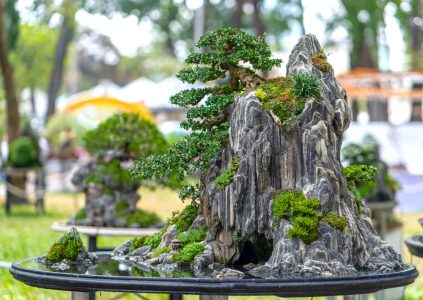 Penjing Penjing