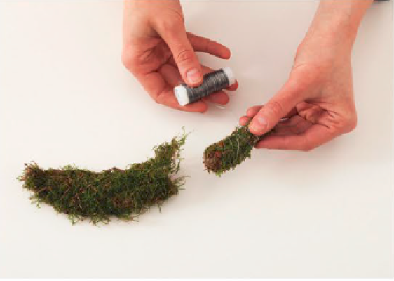 Pick slender pieces of moss