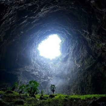 Cave in China with Own Ecosystem Cave in China with Own Ecosystem