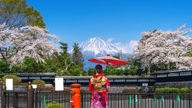 Pink Japan Pink Japan