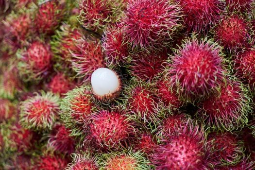 Rambután Rambután