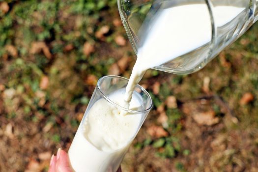 Raw Milk Raw Milk