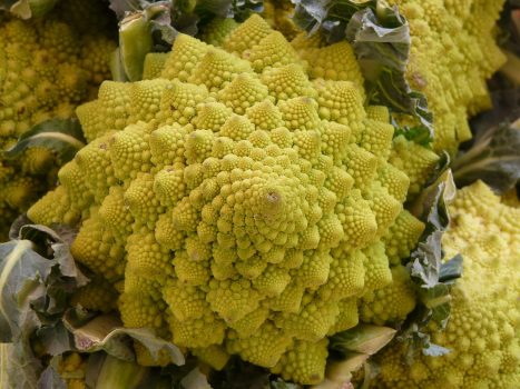 Romanesco Cauliflower Romanesco Cauliflower