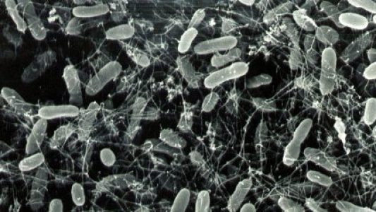 Scientists Found Something Growing Where Life Should Be Impossible