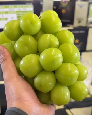 Shine Muscat Grapes