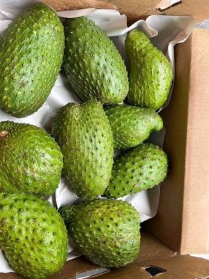 Soursop