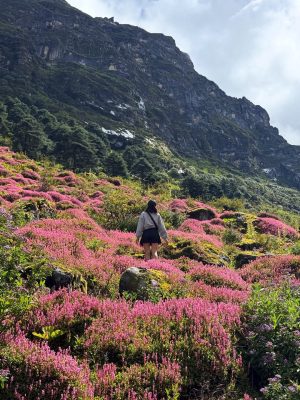Tawang, Arunachal Pradesh