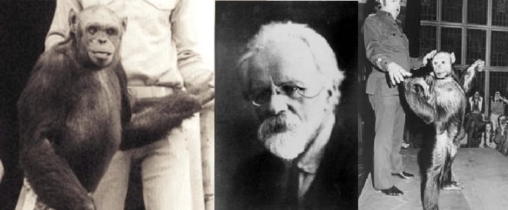 The Human-Ape Hybrid Experiments (1920s)