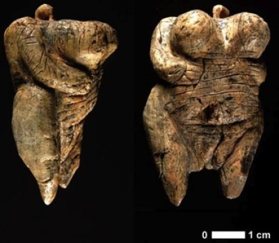 The Venus of Hohle Fels The Venus of Hohle Fels