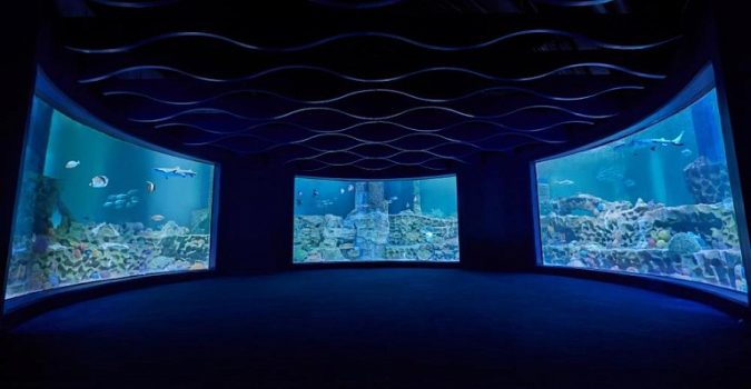 Top 10 Wonderful Aquarium in India – VGP Marine Kingdom Top 10 Wonderful Aquarium in India - VGP Marine Kingdom