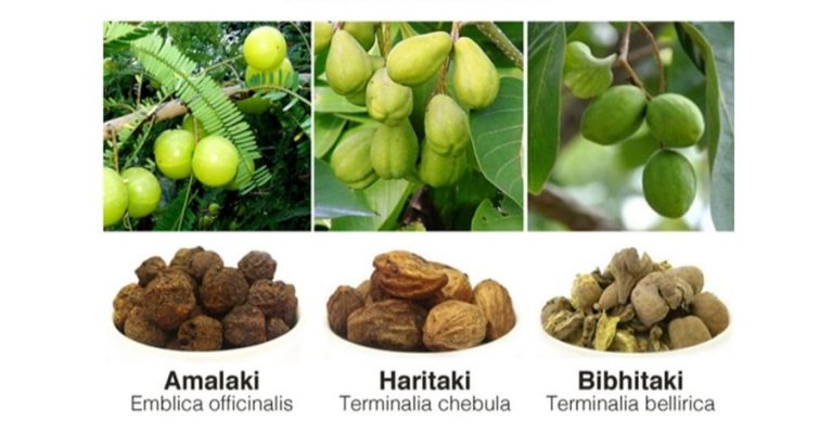Triphala Triphala