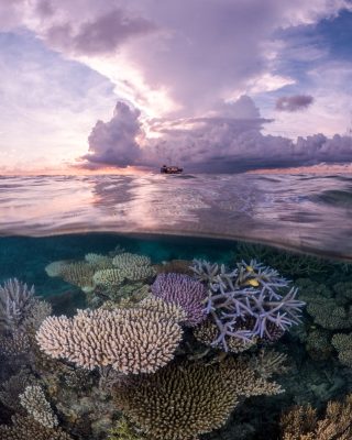 Tubbataha Reef Natural Park